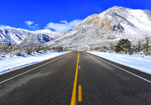 Mount Charleston Tours from Las Vegas